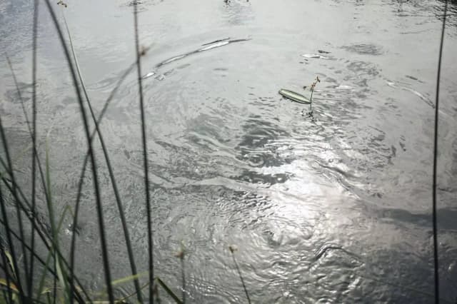 Ile kosztuje budowa stawu? Zaskakujące ceny i ukryte wydatki